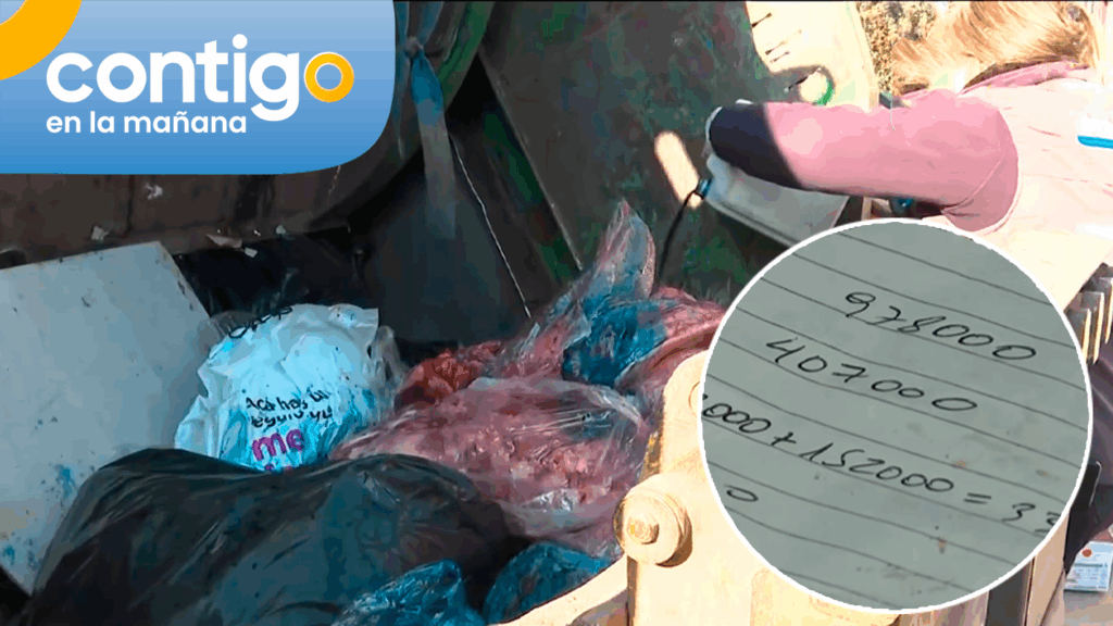 Decomisan 500 kilos de carne descompuesta en Peñaflor: Productos eran preparados para ser vendidos