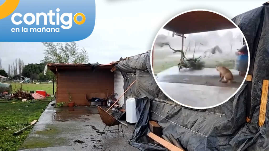 Dueño de mascotas afectadas por tornado que destruyó casa en Bulnes entregó estremecedor relato: “Fue todo muy rápido”