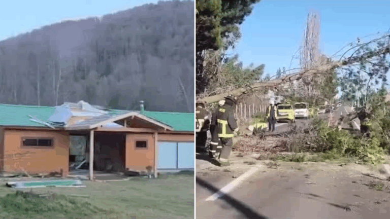 Árboles caídos y caminos cortados: Los estragos que dejaron las ráfagas de viento de 90 km/h en la Araucanía