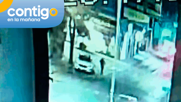 EXCLUSIVO | Registro capta momento exacto cuando auto fue abandonado con tres perritos en Santiago