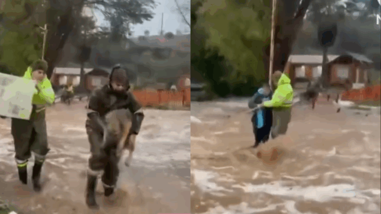 VIDEO | Carabineros rescata a familia que quedó aislada tras activación de quebrada en Vallenar