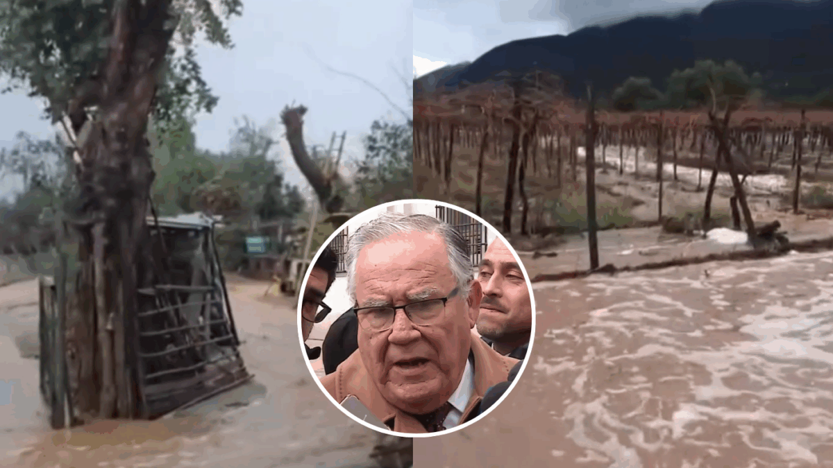 Polémica entre pisqueros y ministro Campos tras negar daños estructurales en la agricultura tras sistema frontal