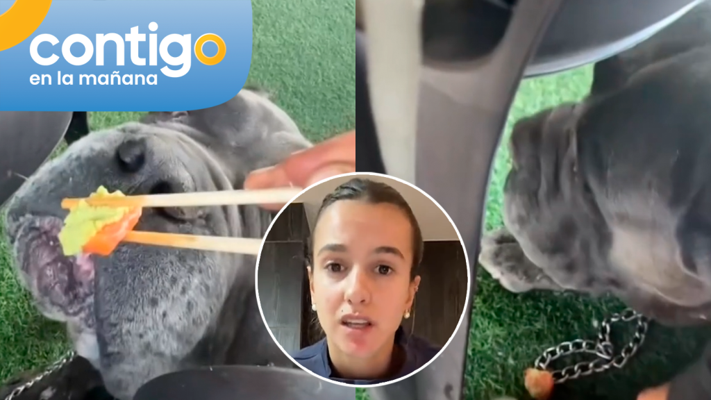 Indignación por video de conocida influencer que le da wasabi a su perro: Salió a pedir disculpas