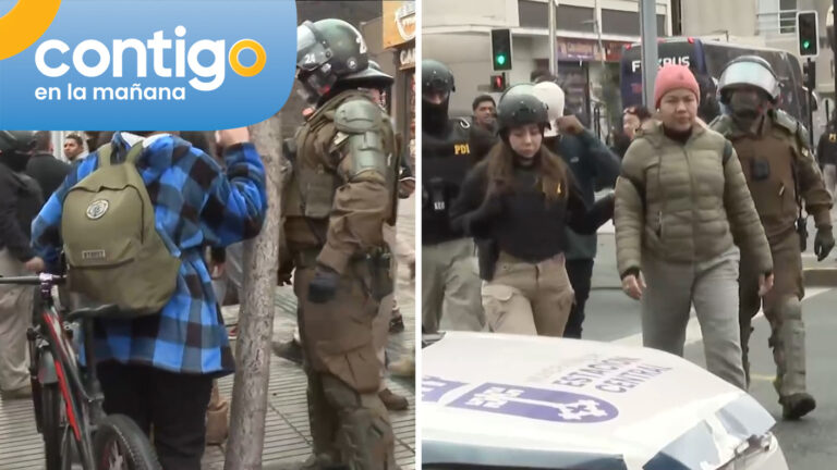Operativo policial por comercio ilegal y control migratorio en Estación Central: Registran detenidos