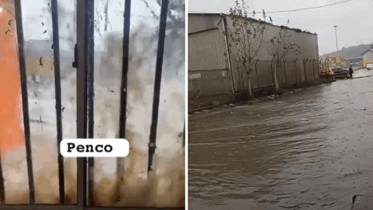 Cuatro viviendas afectadas: Senapred llama a evacuar borde costero en Penco por marejadas