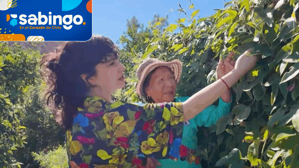 Tamara Acosta aprendió de agricultura en el oasis del desierto de Timar | El valor de Chile | Sabingo