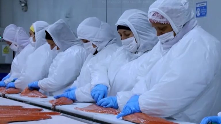 EE.UU fija arancel de 12,5% a envíos de Chile: Salmón y vino serán más caro en ese país