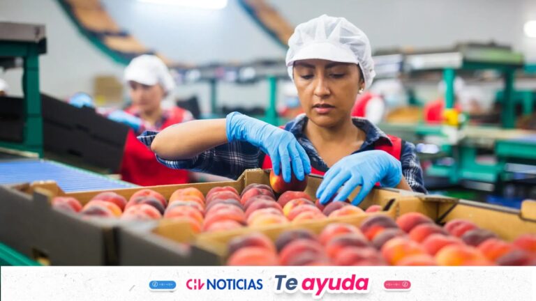 Hoy comienzan las postulaciones al Subsidio a la Contratación: Quiénes pueden postular y cuánto paga