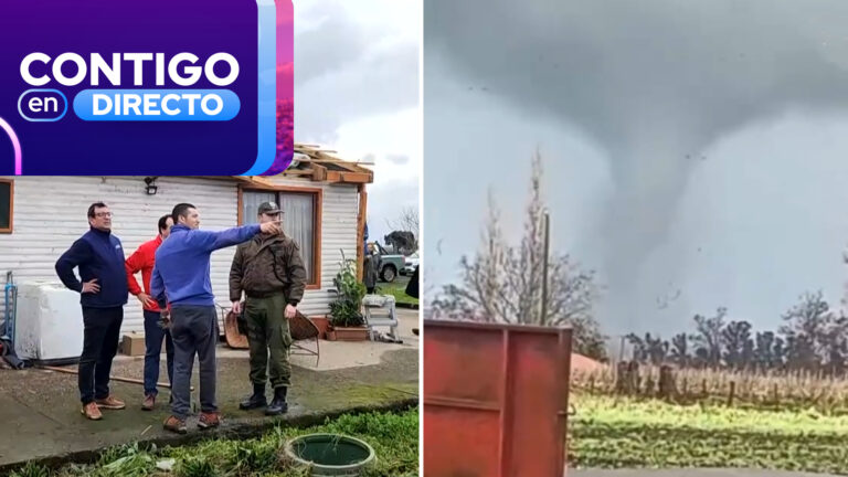 VIDEO | Tornado arrasó con casas y árboles en el sector de Bulnes en medio de intenso sistema frontal