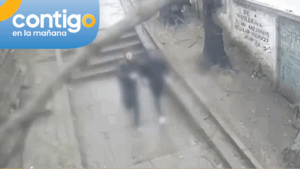 VIDEO | Impactante caída de árbol sobre un joven en Lota por fuerte sistema frontal en el Biobío