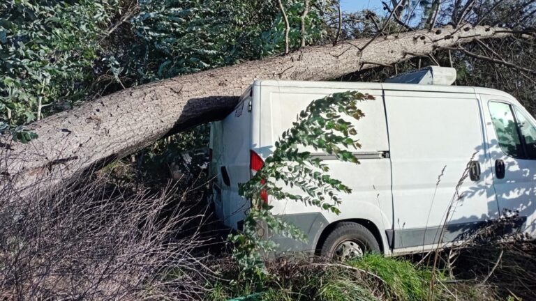 Destructivo viento de 100 km/h en el sur dejó 23 damnificados y 9 lesionados