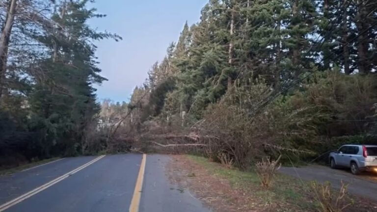 Senapred declara alerta roja en Villarrica por fuertes vientos de hasta 100 kilómetros por hora