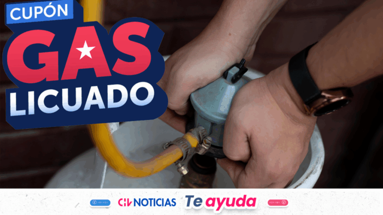 ¿Cómo comprar con el Cupón de Gas Licuado? Estos son los distribuidores autorizados