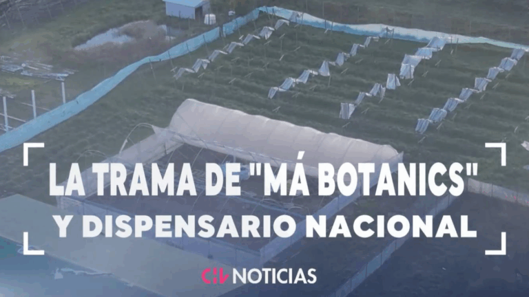 Operación Imperio Amsterdam: Quiénes son los líderes que manejaban la red en el dispensario