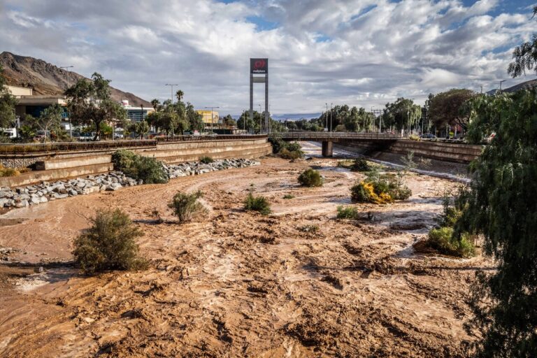 Senapred en alerta: Emergencia por crecida de río Copiapó en Tierra Amarilla