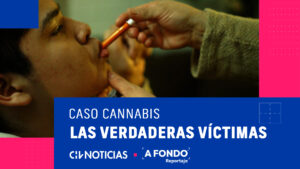 A FONDO | Las secuelas tras Operación Imperio de Ámsterdam: Pacientes temen quedar sin acceso a cannabis medicinal