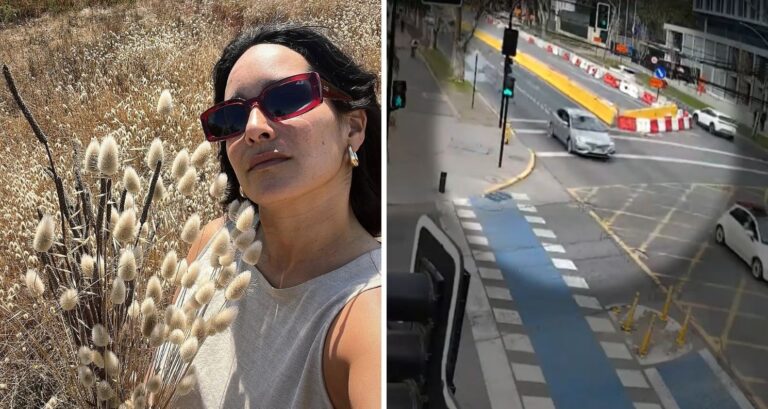 Este viernes formalizan a acusado de matar a Paz Ramírez: Confesó por qué no se detuvo tras el atropello