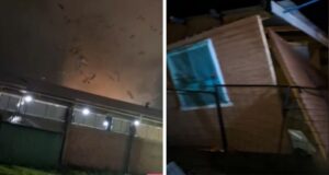 Tornado provoca graves daños en Ñuble: Techo de empresa salió volando y hay más de 9 mil clientes sin luz
