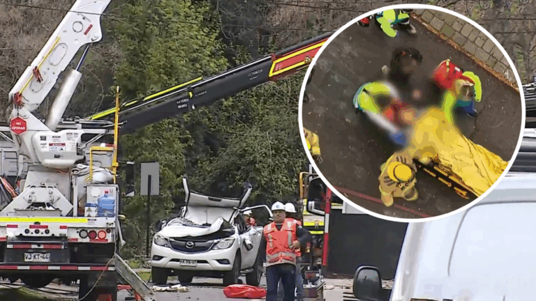 Árbol cayó por fuerte viento y botó seis postes en Vitacura: Conductor tuvo que ser rescatado de su auto