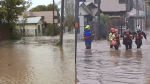 Senapred solicita evacuar tres sectores de Concepción por desborde del río Andalién