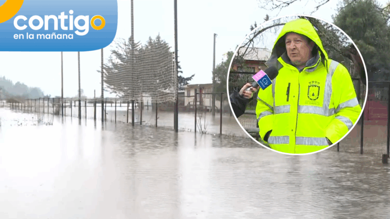 Alcalde de Lumaco advierte emergencia agrícola tras anegamientos: 
