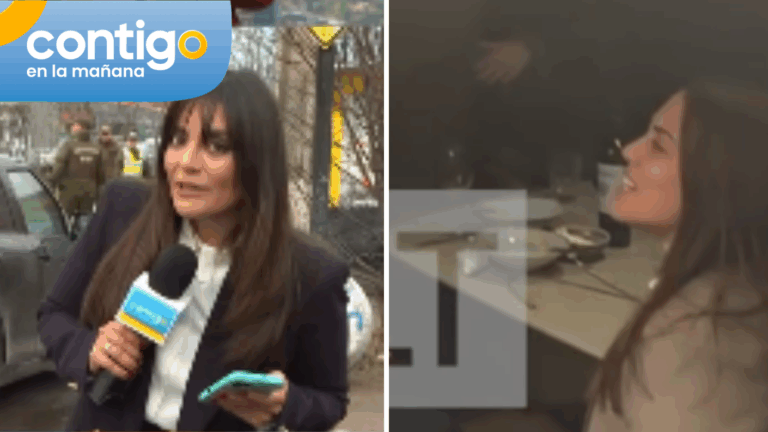 Polémica fiesta de Natalia Duco: Chofer la habría esperado hasta pasada la media noche en auto fiscal