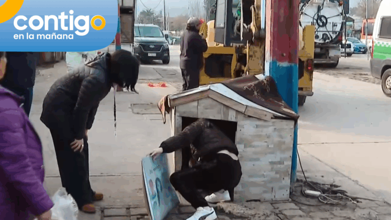 Destrucción de animita genera tenso momento durante operativo municipal en Peñalolén