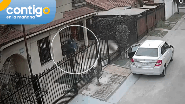 Vecinos contra el crimen organizado: Habitantes de Macul preocupados por violentos robos en sus casas