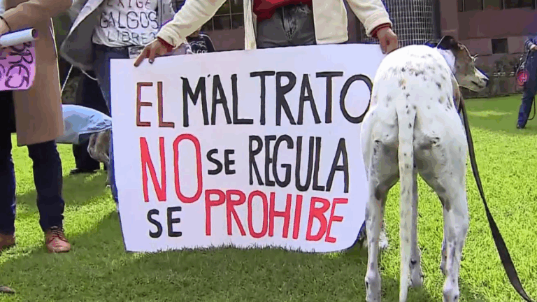 Congreso votará este martes proyecto para prohibir las carreras de perros galgos