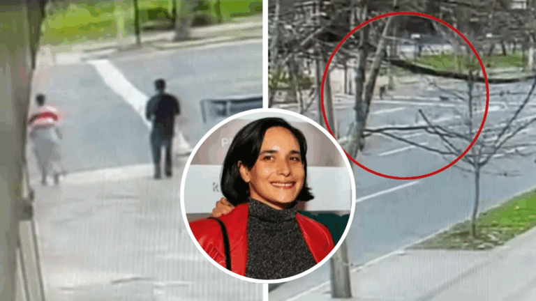 Cámara capta fatal atropello de Paz Ramírez: Imágenes permitieron identificar vehículo y buscan al conductor