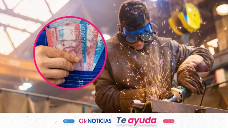 Subsidio Unificado al Empleo: Cuánto pagará y quiénes recibirán el nuevo aporte económico del Estado