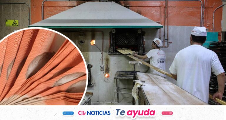 Cesantes reciben $3 millones para un nuevo negocio: Revisa los requisitos y cómo postular