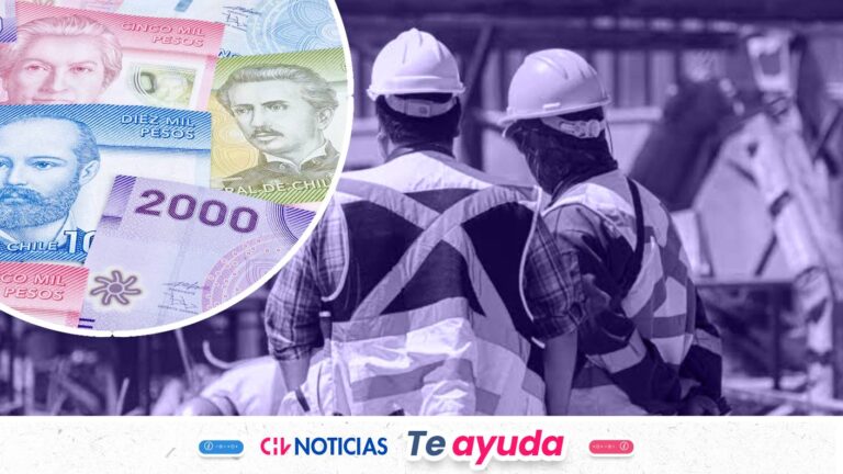 Tres bonos para cesantes: Revisa quiénes pueden acceder y requisitos para cada beneficio