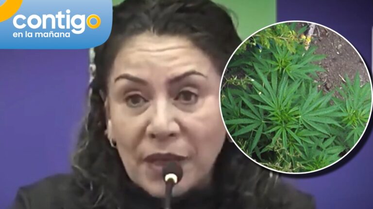 Alcaldesa de La Cruz en la mira: Cuestionó a funcionario que halló marihuana y admiten querella en su contra