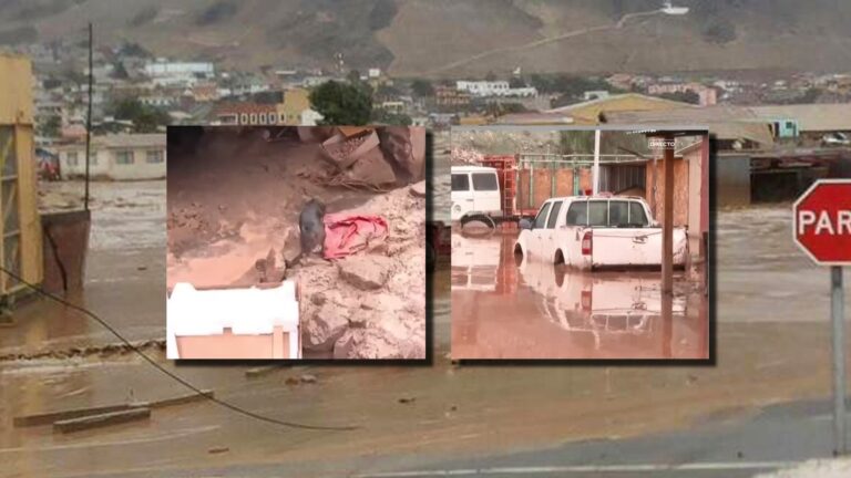 Minuto a minuto | Aluvión provoca estragos y destruye varias casas en la localidad de El Tránsito, región de Atacama
