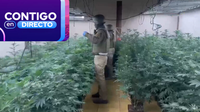 Múltiples allanamientos por tráfico de drogas: Operativo policial llegó hasta la comuna de Pirque