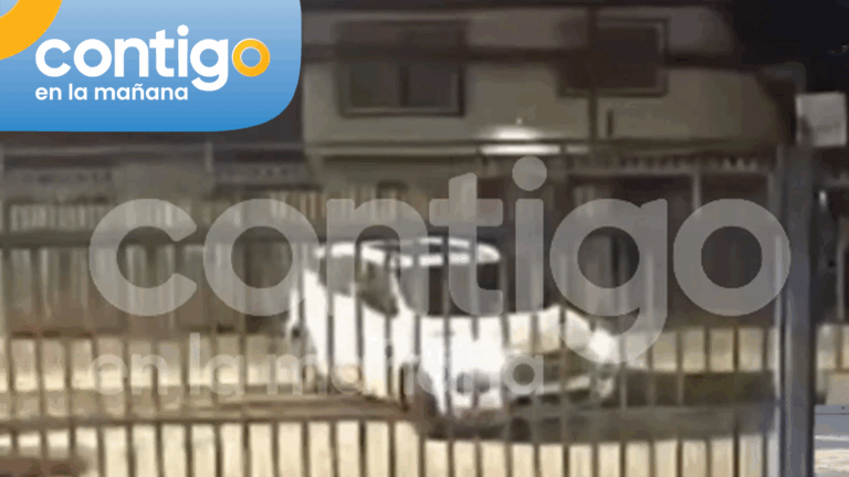 EXCLUSIVO | Revelan imágenes de sujetos huyendo tras asesinato de carabinero de franco en Renca