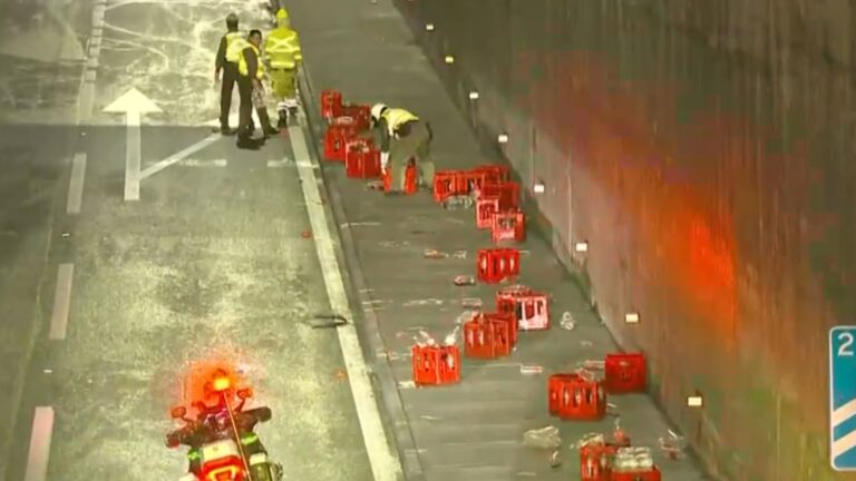 Tránsito cortado en Autopista Central: Camión bota carga y deja en pistas jabas y bebidas