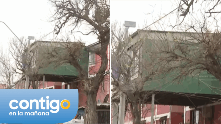 Afirmado a un poste del alumbrado público: La peligrosa ampliación de una casa en La Pintana