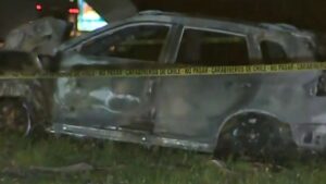 Fatal accidente en Ruta 78: Vehículo se incendió tras chocar contra palmera
