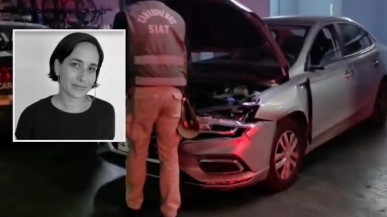 Chileno y de 53 años: Quién es el detenido por el fatal atropello de Paz Ramírez