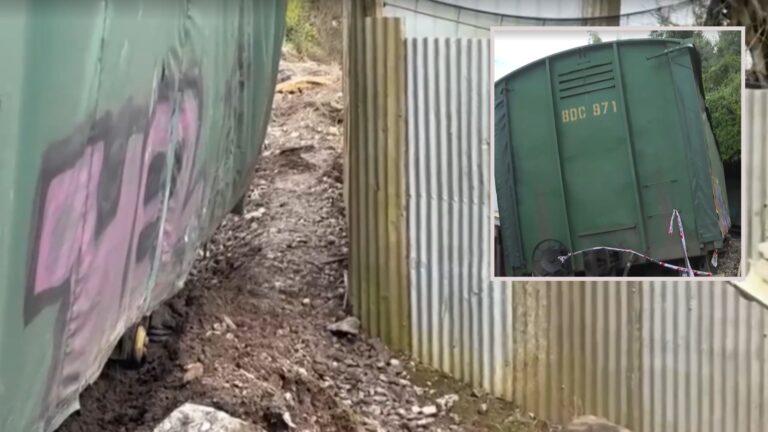 Casa se salvó de milagro: tren descarriló y rompió matriz de agua en Biobío