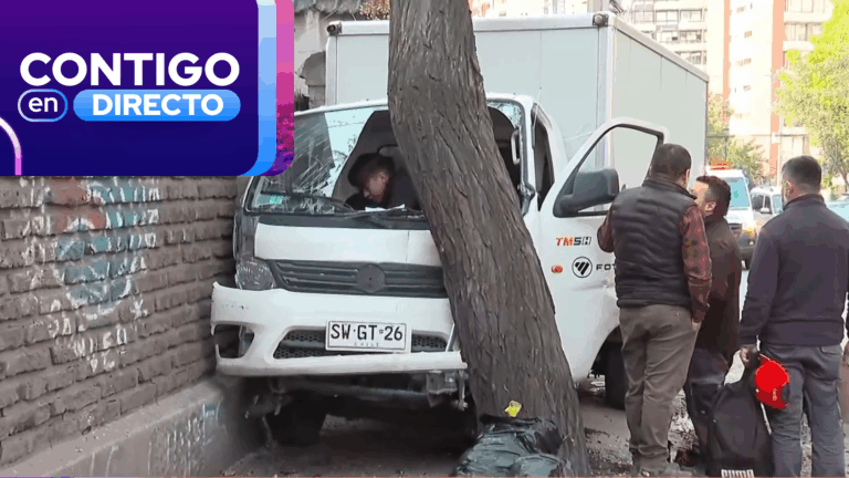 Choque de camión contra árbol deja dos lesionados en Recoleta: Conductor fue rescatado por Bomberos