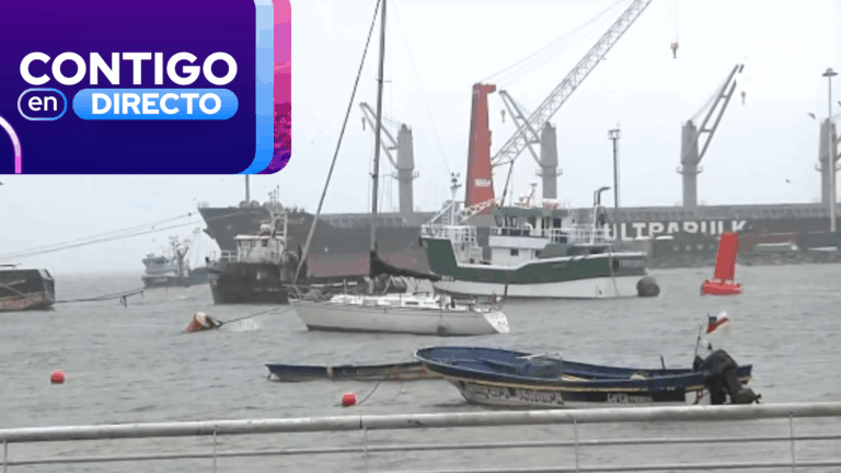 Preocupación por lluvias intensas en pocas horas en Talcahuano: Tres alertas se mantienen activas