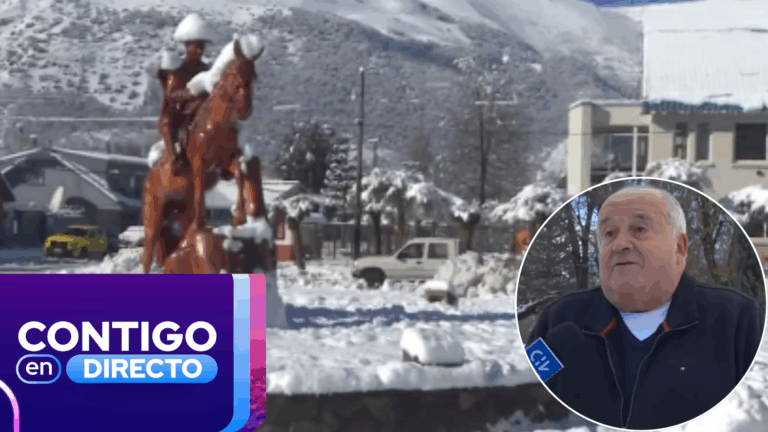 Vecinos de Lonquimay siguen sin luz tras nevazón: Acusan abandono de autoridades en plena emergencia
