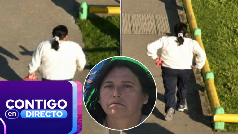 Fue al trabajo de su papá y desapareció hace 70 días: La desesperada búsqueda de mujer en Nueva Imperial