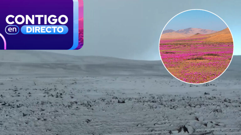 Consecuencias del sistema frontal en el norte: Desierto de Atacama está totalmente cubierto de nieve