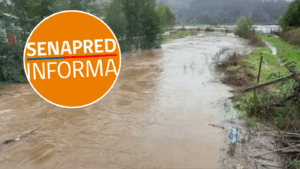 Sistema frontal en Biobío: Desbordes de ríos obligan a evacuar distintos sectores de Nacimiento