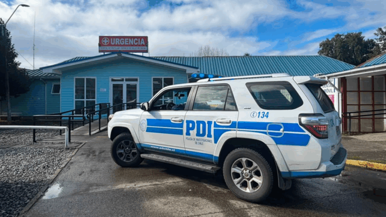 Cinco detenidos tras asesinato de adolescente de 17 años en Frutillar