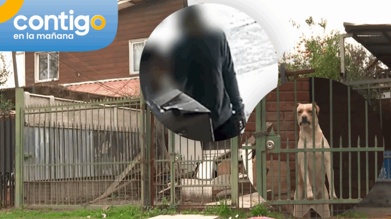 Vecina y sus fiestas no dejan dormir a todo un barrio en Macul: Además acusan maltrato animal y agresiones